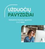 2024 m. Informatikos VBE 2 dalies užduoties pavyzdys, pradinių duomenų failai, sprendimai ir vertinimo instrukcija