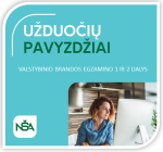 Informatikos VBE 2 dalies užduoties pavyzdys 2024