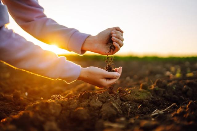Įsigilinkite į „Dirvožemio“ temos nagrinėjimą su LOESS: Nauji mokymosi scenarijai Scientix® platformoje