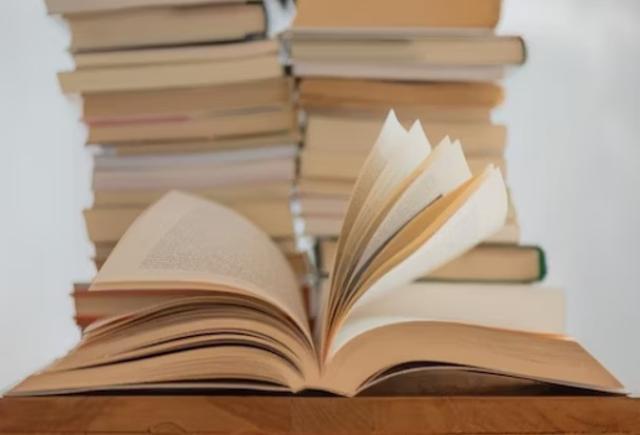 Pradinio ugdymo lietuvių kalbos ir literatūros bendrosios programos įgyvendinimo rekomendacijos